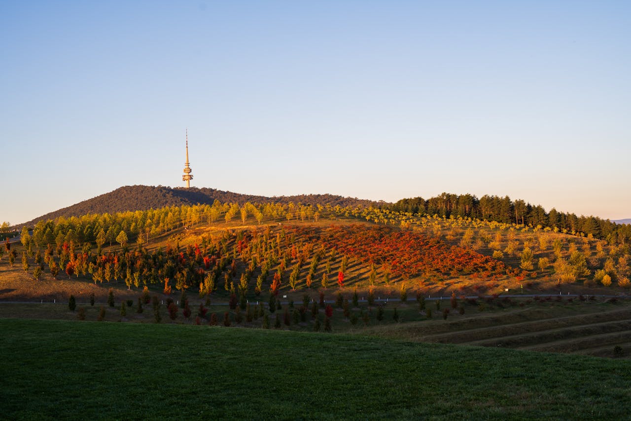 stunning-view-of-black-mountain-tower-at-sunset-31981254